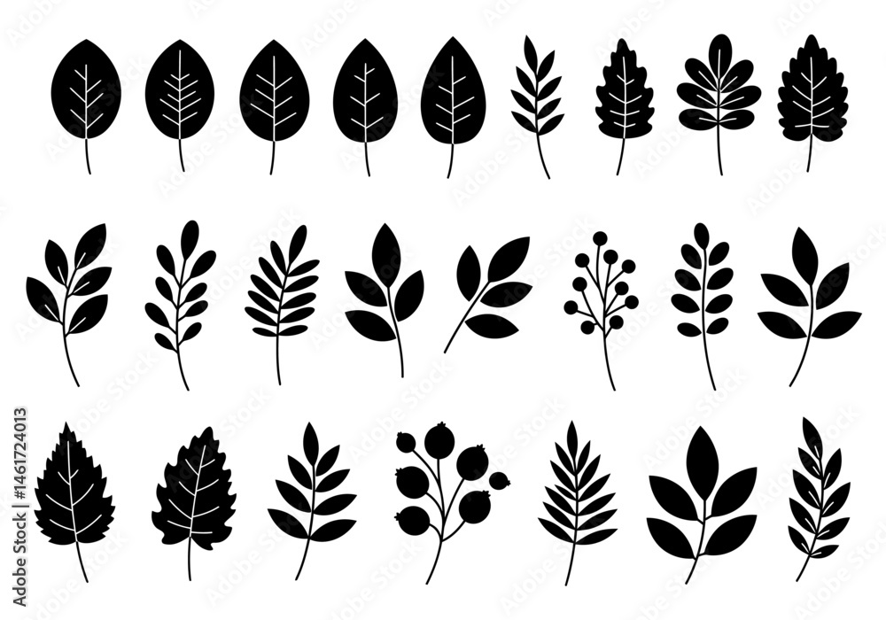 Poster diverse collection of botanical elements featuring various leaf shapes and textures displaying an ar