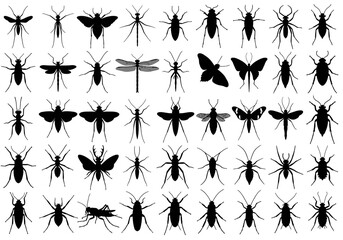 A Diverse Array of Insect Silhouettes Exploring the World of Entomology Featuring a Variety of Insect Shapes from Graceful Dragonflies to Tiny Ants and Beetles Showcasing the Beauty of the Insect King