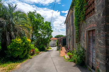 Charming Tuscan alley with a brick house on one side and blooming greenery on the other. A peaceful summer scene capturing the rustic beauty of traditional Italy.