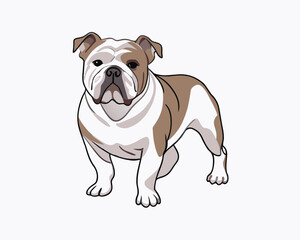 vector-bulldog-hand-drawn-engraving-consistent-outline