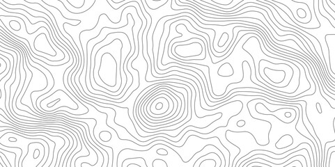 Topographic Map Lines. Abstract Contour Background. grid geography relief topographic contour line maps cartography texture