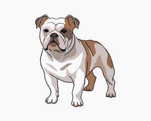 vector-bulldog-hand-drawn-engraving-consistent-outline