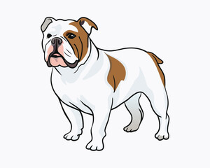 vector-bulldog-hand-drawn-engraving-consistent-outline