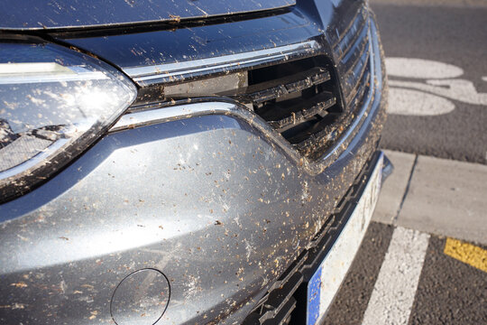 Close-up of car front bumper and grille covered with dead insects and dirt after long highway drive. Street daylight photography. Automotive maintenance and travel concept