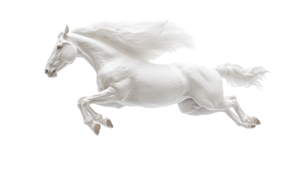 Majestic white horse leaping gracefully in motion with flowing mane and tail captivating beauty