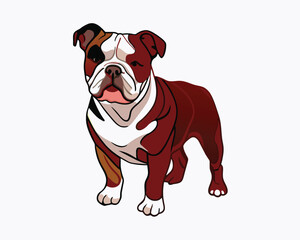 vector-bulldog-hand-drawn-engraving-consistent-outline