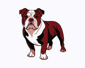 vector-bulldog-hand-drawn-engraving-consistent-outline