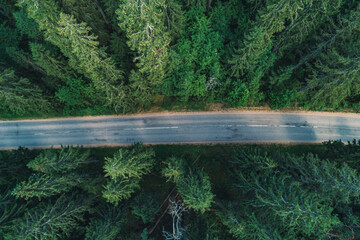 Aerial view of a winding road through a dense forest in the morning light