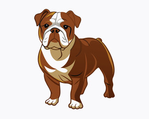 vector-bulldog-hand-drawn-engraving-consistent-outline