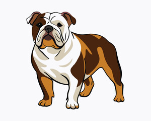 vector-bulldog-hand-drawn-engraving-consistent-outline