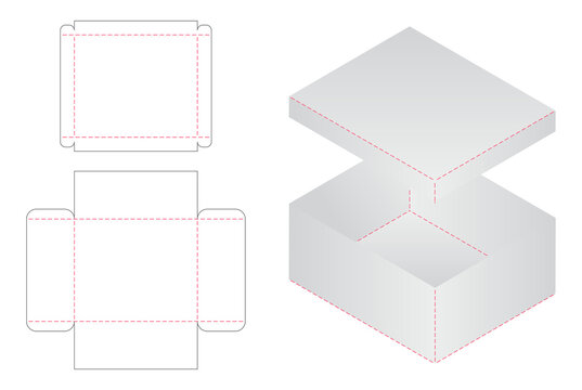 Box packaging die cut template design. 3d mock-up