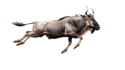 Naklejka premium Magnificent wildebeest in mid-air leap showcasing strength and agility while running forward