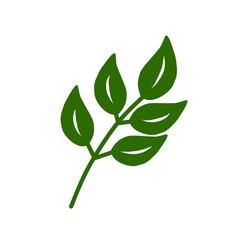 green plant isolated on white background