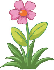 pink flower isolated on white