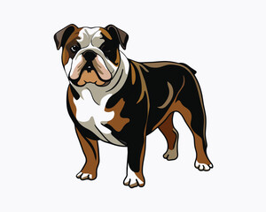 vector-bulldog-hand-drawn-engraving-consistent-outline