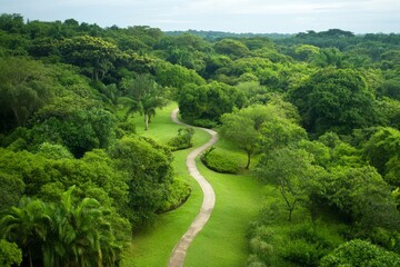 Serene winding path through dense green forest under dramatic sky with distant city skyline