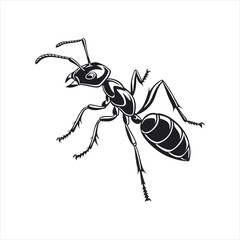 Black Ant Silhouette Vector Illustration