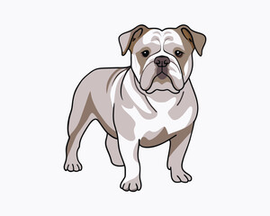 vector-bulldog-hand-drawn-engraving-consistent-outline