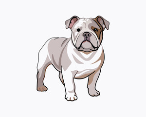 Obraz premium vector-bulldog-hand-drawn-engraving-consistent-outline