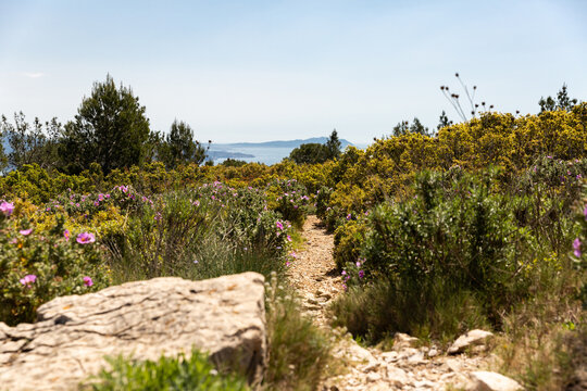 Sentier de randonn&eacute;e dans le sud de la France au travers d'un massif de garrigue avec la mer en arri&egrave;re plan