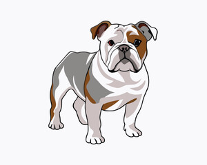 vector-bulldog-hand-drawn-engraving-consistent-outline