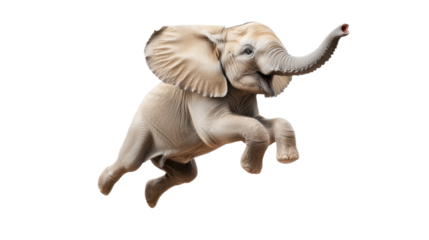 Jumping baby elephant joyfully expresses energy and freedom in mid-air movement