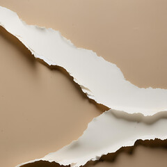 torn paper background