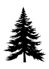 Fir trees silhouette. Black silhouette of sine tree on white background. illustration