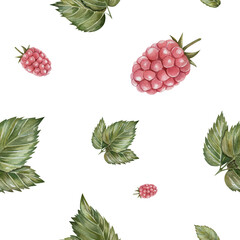 Seamless pattern with watercolor raspberry berries and green leaves. Hand-painted botanical design on white background. Ideal for fabric, packaging, kitchen decor, and invitations.