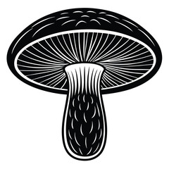 Mushroom vector Silhouette illustration Portobello mushroom top and cross section