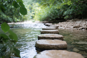 Lush stream with stepping stones inviting peaceful exploration in a serene natural setting