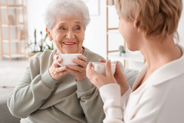 Senior woman with her daughter drinking tea at home. Mother's Day celebration