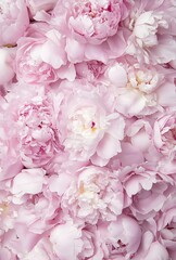 Floral seamless pattern with blooming pink peonies, Vibrant pink peonies bloom, Fluffy pink peonies flowers background, Generative AI