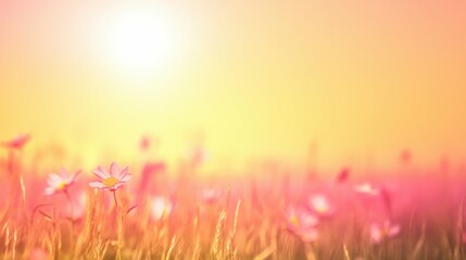 Golden sunrise with wildflowers in a serene meadow