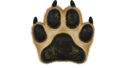 Isolated Bear Paw Print