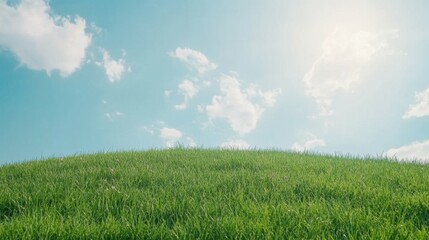 Obraz premium Lush green grass under clear blue sky with white clouds on a sunny day
