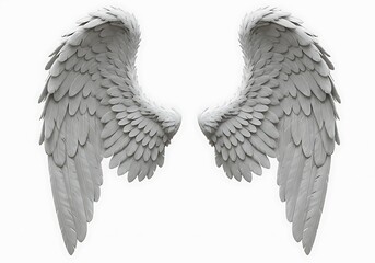 Fototapeta premium A pair of elegant white angel wings with detailed feather texture isolated against a white background