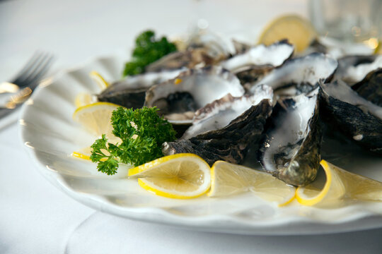 Close up of fresh oysters on a plate in a restaurant