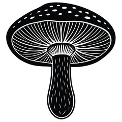 Mushroom vector Silhouette illustration Mushroom cross section illustration