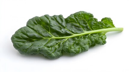 Fresh Green Chard Leaf Isolated on White Background