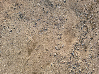 Soil texture background. Top view soil . 