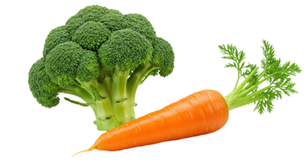 Isolated Broccoli and Carrot on White Background