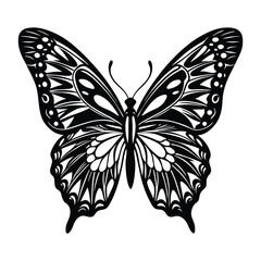 Black and white detailed butterfly vector illustration isolated on a bright white background