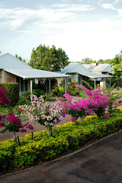 Row of weatherboard homes in picturesque street with hedge and flowers in the middle of the road