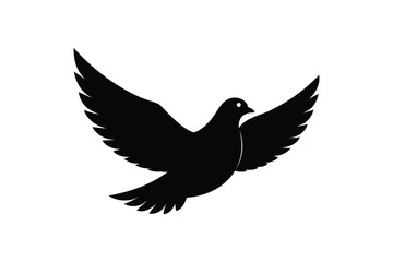 Obraz premium Dove silhouette on white background