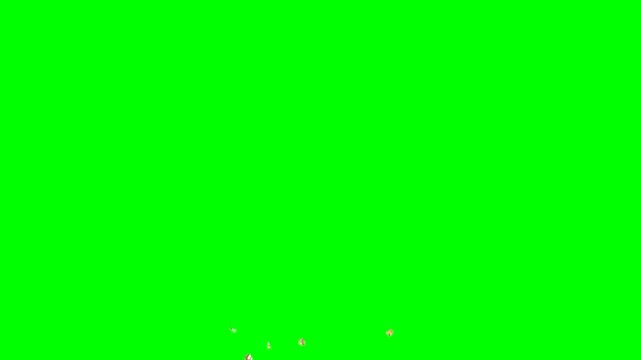 4K cracker golden confetti animation front view on green screen.