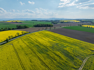 Aerial drone view of beautiful yellow fields rapeseed.Village country farming shapes in fields....