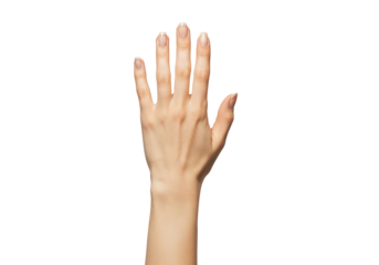 Hand Raised: A detailed photographic study of an open, outstretched human hand, rendered in exquisite detail, showcasing the natural beauty and subtle nuances of the human form.