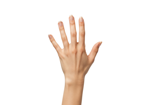 Human Hand Presentation: A close-up shot of an open human hand, with each finger gracefully extended, showcasing the intricate lines and textures of the skin.