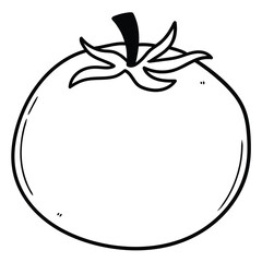 Hand drawn doodle tomato on white background.